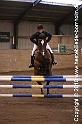 U-LC - Hest